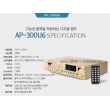 Amply AEPEL Hàn Quốc AP-300U6 Made in Korea, Âm ly cao cấp, Phân phối chính hãng ủy quyền