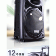 Loa kéo Temeisheng (LA 3 Tấc, Bass 30, 350W, di động, Bluetooth)