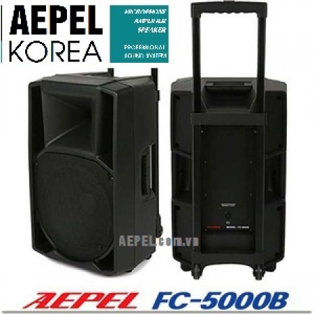 Loa Bluetooth KaraOke AEPEL FC5000 + FC5000B, Loa kéo di động, Loa sân khấu Hàn Quốc 1000W