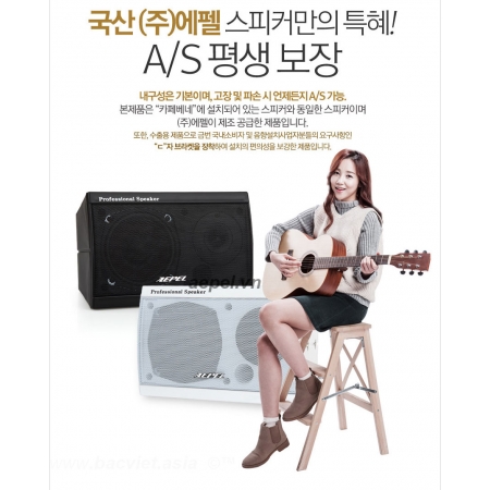 LOA nghe nhạc AEPEL FA-530N Hàn Quốc / Loa bass siêu trầm FA530N